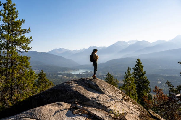 Beginner’s Guide to a Balanced and Healthy Lifestyle